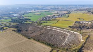 Photo 4- click for photo gallery